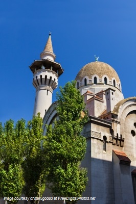 Building surrounded by trees and blue skies